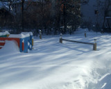 snow garden Dec 17.jpg
