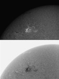 AR 1040 (1035) 10 January 2010