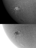 AR 1041 23 January 2010