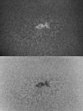 AR 1041 26 January 2010