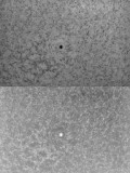 AR 1084 3 July 2010