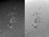 AR 1093 8 August 2010