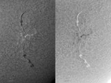 AR 1100 and Filaments 22 August 2010
