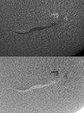 AR 1112 and Mega Filament 17 October 2010