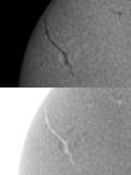 Filament 19 May 2010
