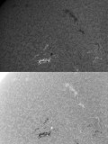 AR 1117 24 October 2010