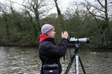 Olof digiscooping the Mandarin Duck