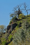 the road to table mountain.jpg