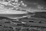 Lost Coast Corral