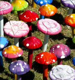 ATmushrooms01shp.jpg