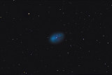 NGC 1360  Planetary Nebula