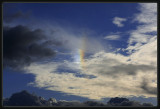 Sundog