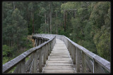 Noojee Trestle Bridge