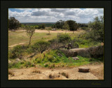 View from Mount Hope