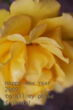Happy New Year 2009