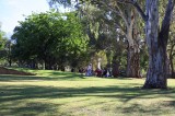 Picnic in the park