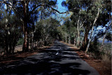 On the back road