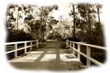 Bridge - 6