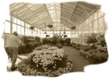 Glass house - 22