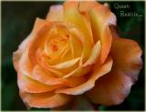 Queen Beatrix