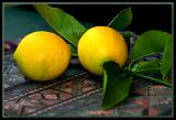 The Meyer Lemon