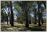 Filtered sunlight in the park