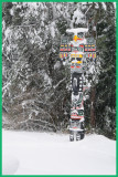 Totem pole shivers in the cold.
