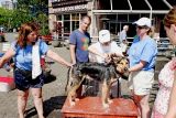 Dog wash booth at the Fraserfest.