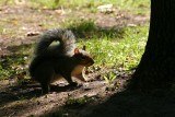 Img_0034.jpg
