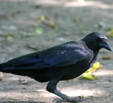 Img_0075.jpg