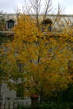 Img_0071.jpg