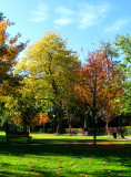 Autumn colors at the Lafontaine urban park.