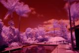 _DSC0025-IR-NC4-PSD colour.jpg