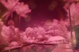 _DSC0018-IR-Lee87.jpg