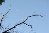 Img2006-01-06_010_srgb.jpg