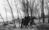 Long Point Picnic Table