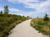 Shipyards Park Trail - Collingwood