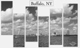 Buffalo Collage