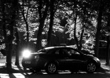 May 23 2009:<br> Sunlit