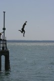 Hot day, jump in the sea, sounds good to me.