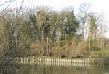 Eel Pie Island, the uninhabited part.