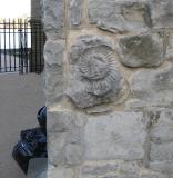 Ammonite in church wall.