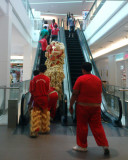 A Lion On An Escalator