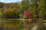 Georgia Fall