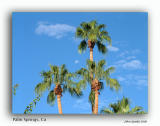 12 Palm Springs 2.jpg