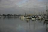 Shoreline Marina