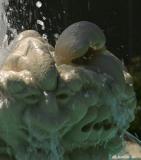 Splashed