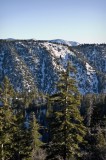 20090117 / snow