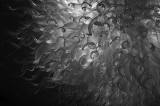 20101028 / lit