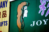 20060320 / China Joy